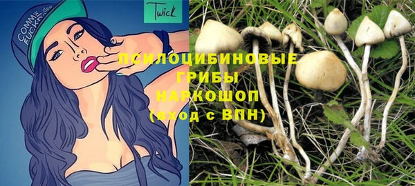 mix Лабытнанги
