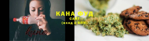 метадон Лагань