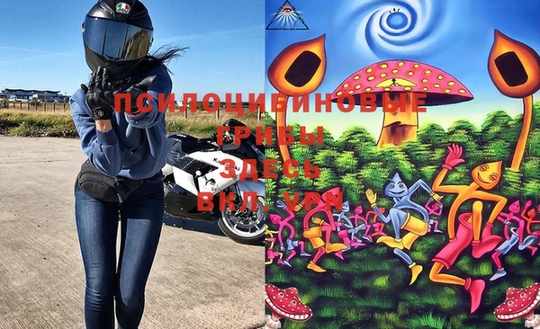mix Лабытнанги