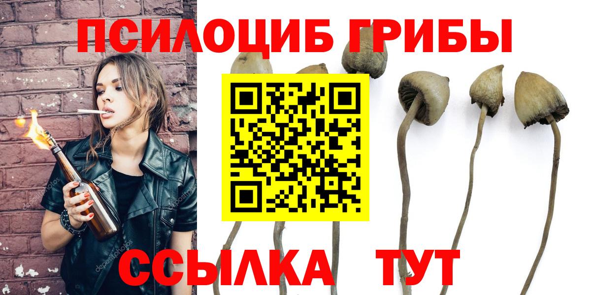 Псилоцибиновые грибы ЛСД Долгопрудный