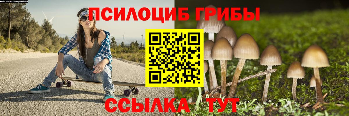 Псилоцибиновые грибы мицелий  Вход с VPN  как найти   Долгопрудный  Псилоцибиновые грибы Cubensis 