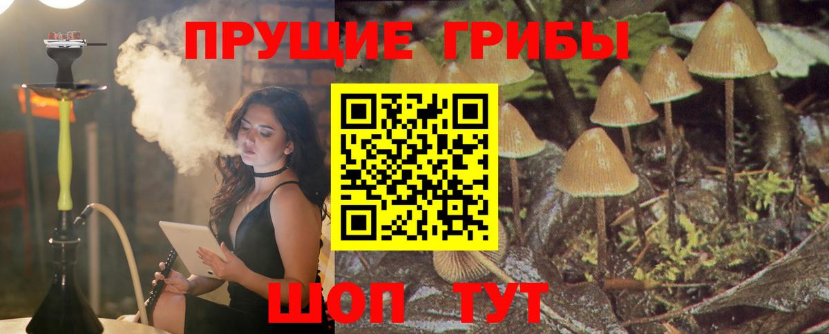 Галлюциногенные грибы Cubensis Долгопрудный